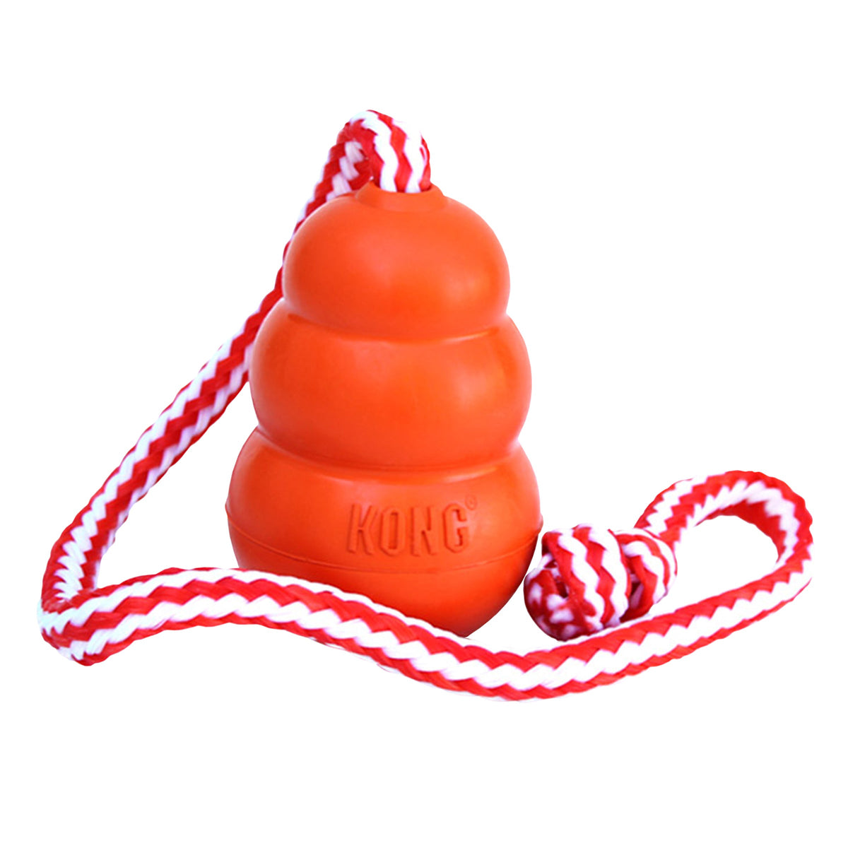 KONG Aqua with rope