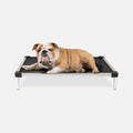 K9 Ballistics Chew Proof Elevated Dog Bed