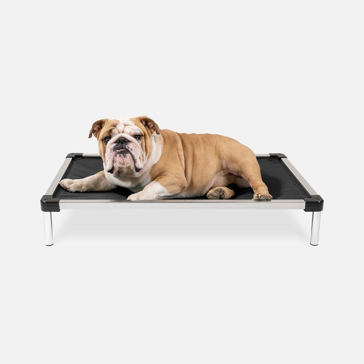K9 Ballistics Chew Proof Elevated Dog Bed