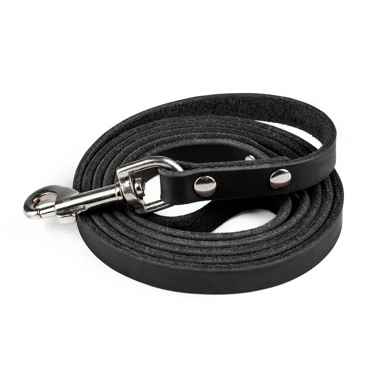Mighty Paw Leather Dog Leash