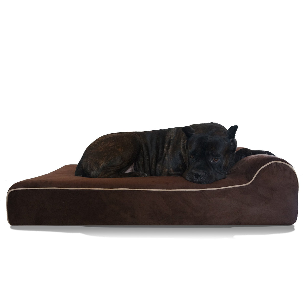 Bully Beds Orthopedic Memory Foam Dog Bed